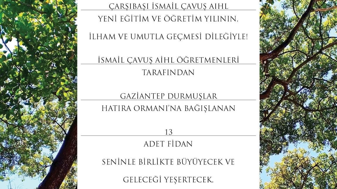 Okulumuz Adına TEMA Vakfına Fidan Bağışını Gerçekleştirdik